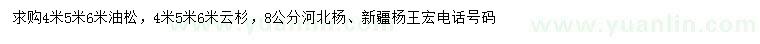 求購油松、云杉、河北楊等