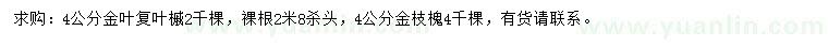 求購(gòu)4公分金葉復(fù)葉槭、4公分金枝槐
