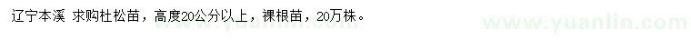 求購高20公分以上杜松苗