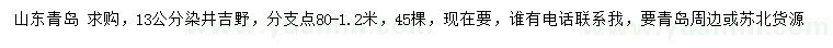 求購13公分染井吉野