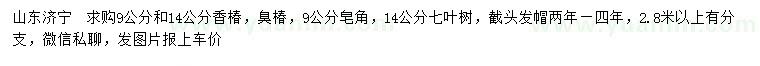 求購香椿、臭椿、皂角等