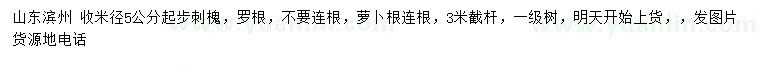 求購(gòu)米徑5公分起步刺槐