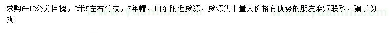 求購6-12公分國槐