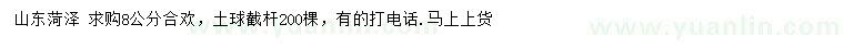 求購8公分合歡