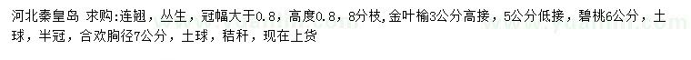 求購叢生連翹、金葉榆、碧桃等