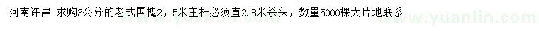 求購3公分老式國槐