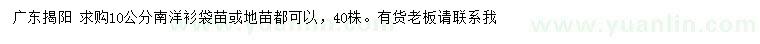 求購10公分南洋衫