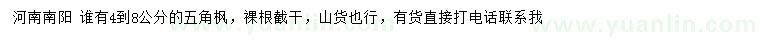 求購(gòu)4-8公分五角楓