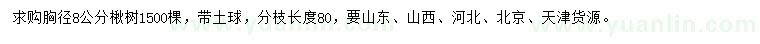 求購胸徑8公分楸樹