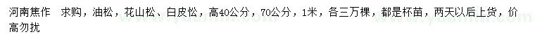 求購(gòu)油松、花山松、白皮忪