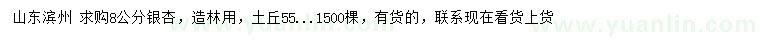 求購8公分銀杏