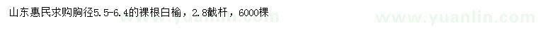 求購胸徑5.5-6.4公分白榆