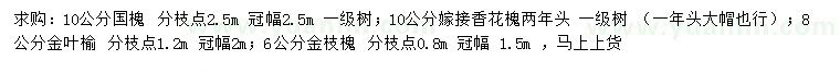 求購國槐、香花槐、金葉榆等