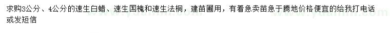 求購(gòu)速生白蠟、速生國(guó)槐、速生法桐