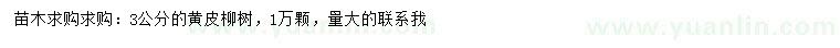 求購3公分黃皮柳樹