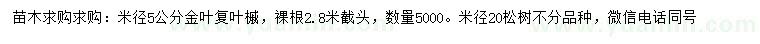 求購米徑5公分金葉復(fù)葉槭、20公分松樹