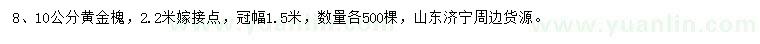 求購8、10公分黃金槐