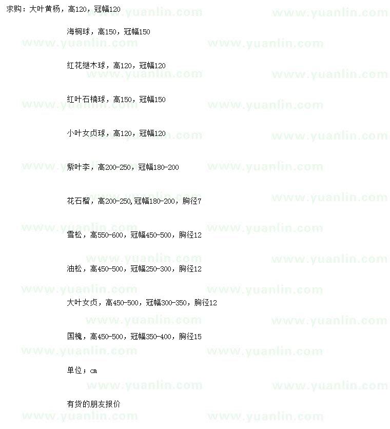 求購(gòu)大葉黃楊、海桐球、紅花繼木球等