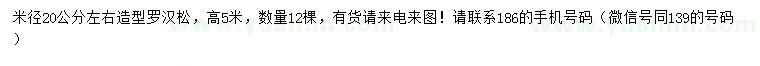 求購米徑20公分左右造型羅漢松