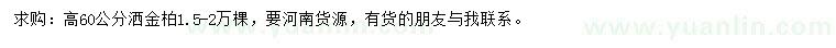 求購高60公分灑金柏