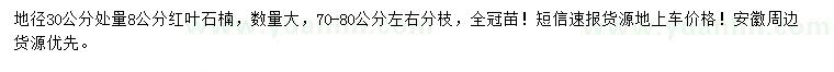 求購30量8公分紅葉石楠