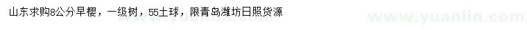 求購8公分早櫻