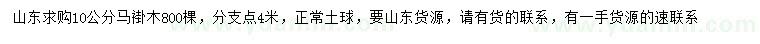 求購10公分馬褂木