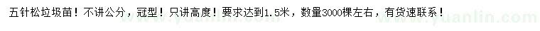 求購1.5米五針松