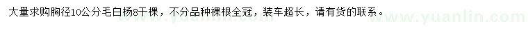 求購(gòu)胸徑10公分毛白楊