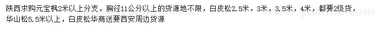 求購元寶楓、白皮松、華山松