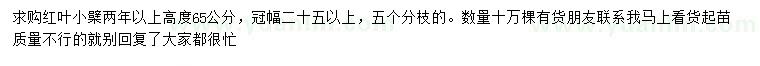 求購(gòu)高65公分紅葉小檗