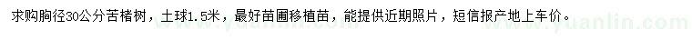 求購胸徑30公分苦楮樹