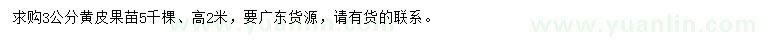 求購3公分黃皮果苗