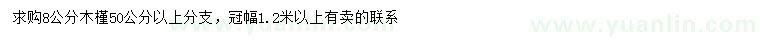 求購(gòu)8公分木槿