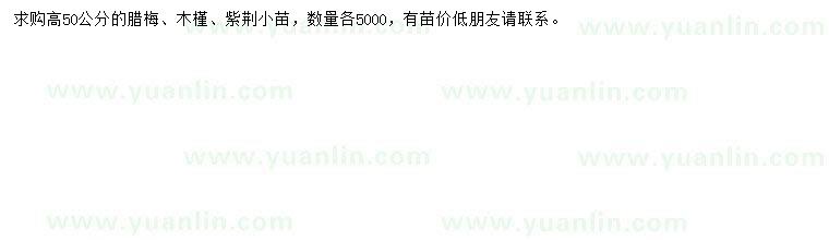 求購臘梅、木槿、紫荊小苗