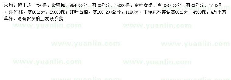 求購(gòu)爬山虎、紫穗槐、金葉女貞等