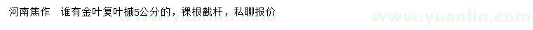 求購5公分金葉復葉槭