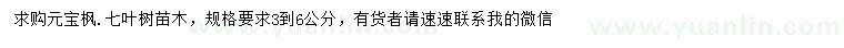 求購3-6公分元寶楓、七葉樹