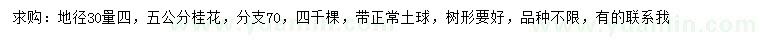 求購地徑30量4、5公分桂花