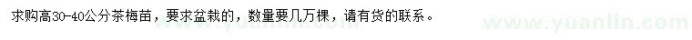 求購高30-40公分茶梅苗
