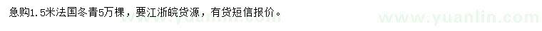 求購高1.5米法國冬青