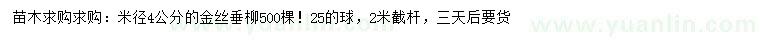 求購米徑4公分金絲垂柳