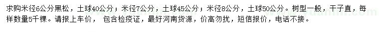 求購米徑6、7、8公分黑松