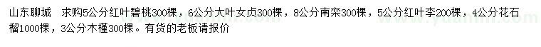 求購紅葉碧桃、大葉女貞、南欒等