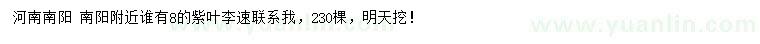 求購8公分紫葉李