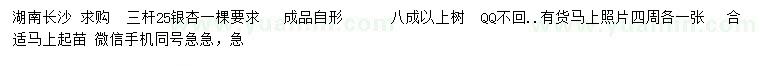 求購25公分銀杏