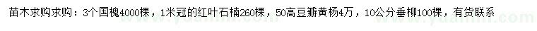 求購國槐、紅葉石楠、豆瓣黃楊等
