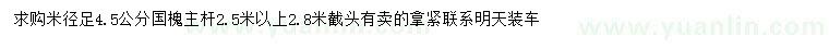 求購米徑足4.5公分國槐