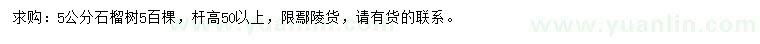 求購5公分石榴樹