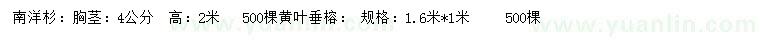 求購胸徑4公分南洋杉、黃葉垂榕